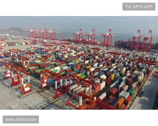 上海海港发展新战略：提升国际物流枢纽地位，推动区域经济高质量增长