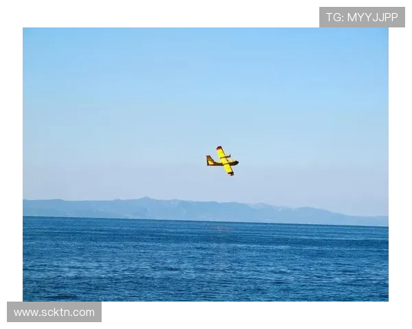 探索上海极限运动队心理素质的挑战与成长之路