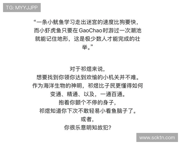 向鱼 王者：探索鱼类世界中的王者之争与生态平衡的深刻奥秘