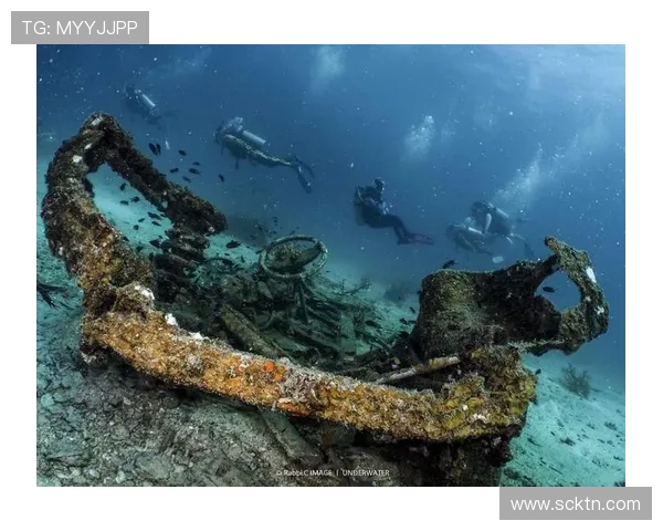 加莱诺的艺术魅力与文化影响力探讨：从历史到现代的深度解析