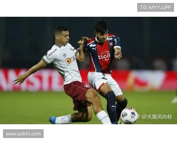 帕尔梅拉与波特诺的激烈对决揭示了南美足球的魅力与竞争力